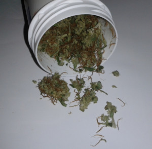 Importierte Cannabisblüten von Bedrocan sind ein Fertigarzneimitel