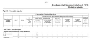 Die Cannabisagentur ist im Haushalt eingeplant